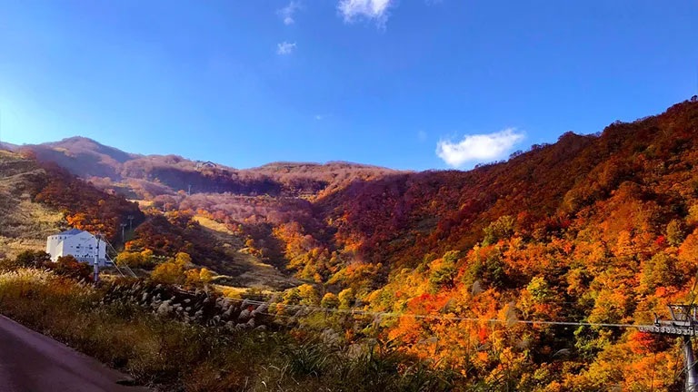 紅葉ピーク到来！ロッテアライリゾート「紅葉ゴンドラ」で体感する、秋の空中散歩！