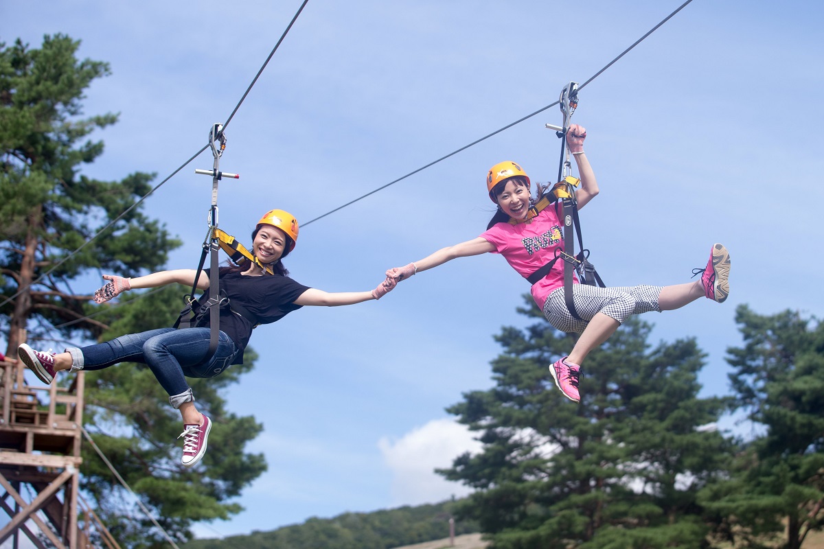 1万5千株のベゴニアが見頃！岐阜県郡上市の高原リゾート「ひるがのピクニックガーデン」