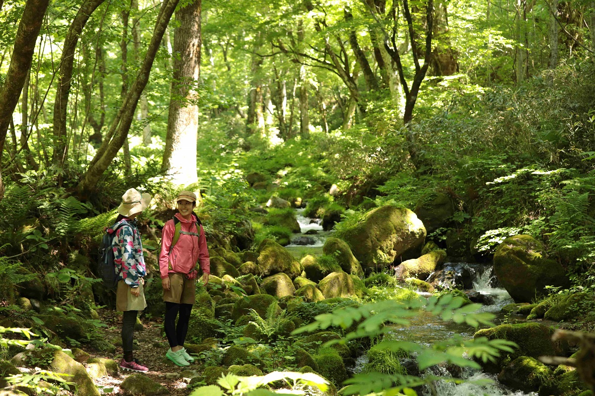 休暇村奥大山で、標高920mの高原で“足水”など涼やかな名水体験を満喫！「夏休み限定だいせんサマービュッフェ」プラン