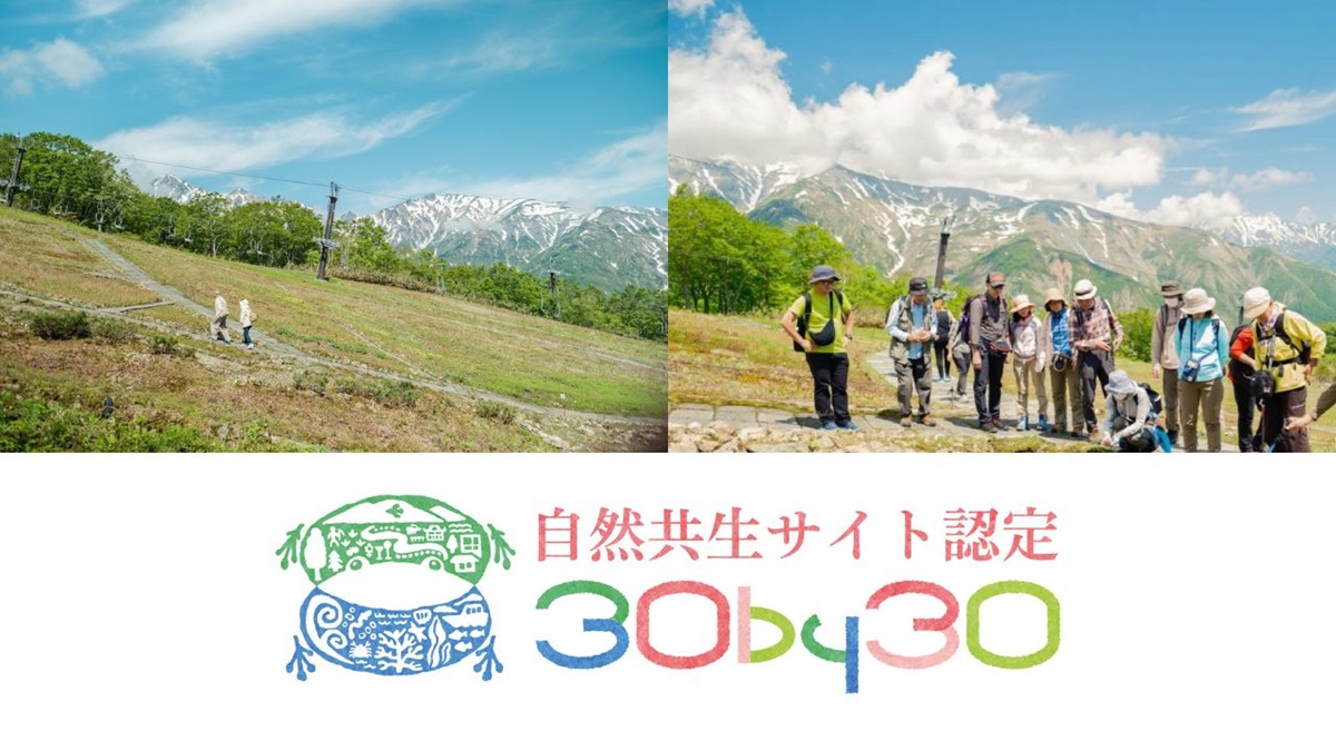 白馬五竜高山植物園が、環境省が定める「自然共生サイト」に認定