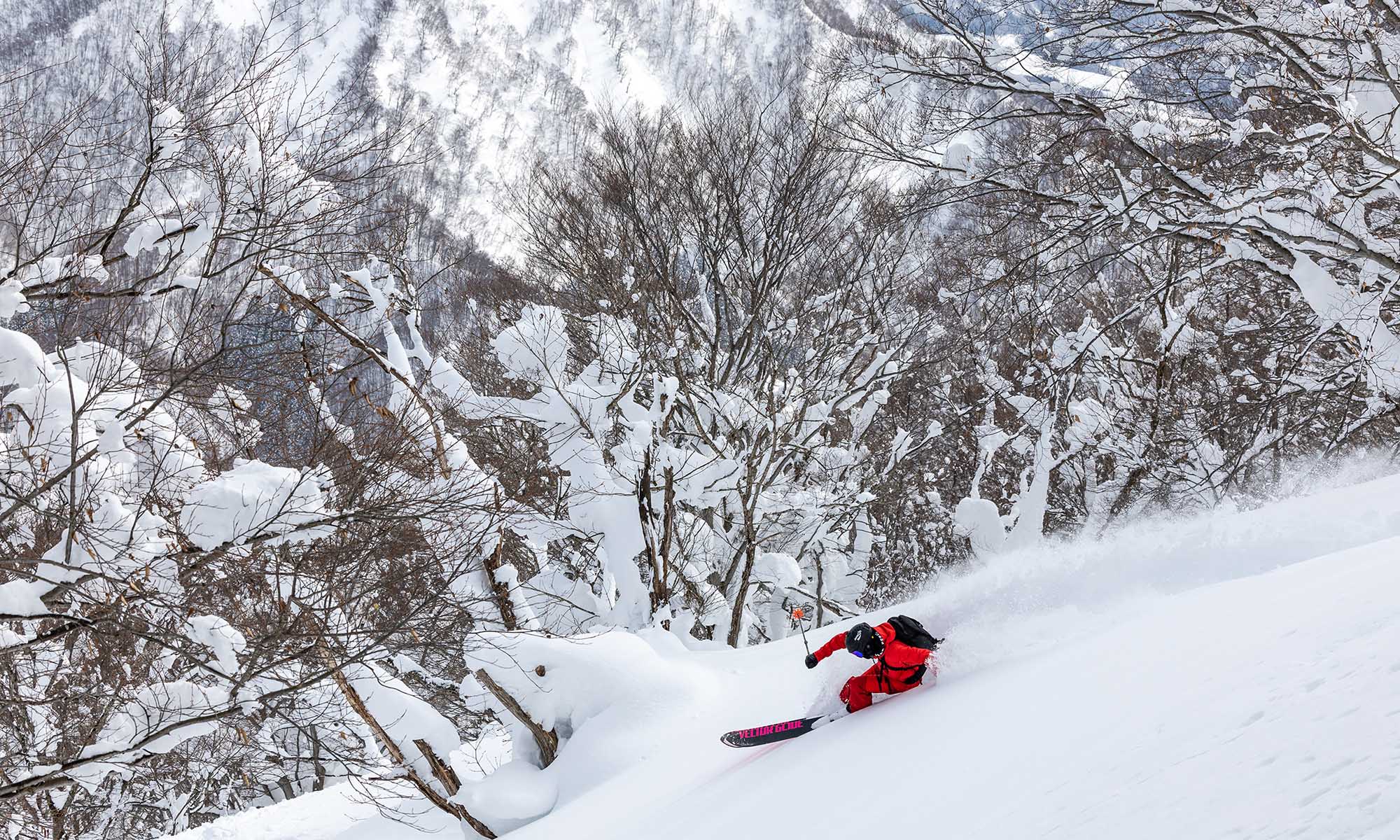 山中を滑るスキーヤー
