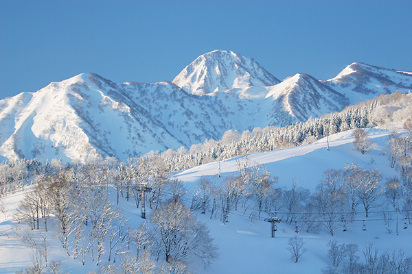 関東甲信越・新潟県