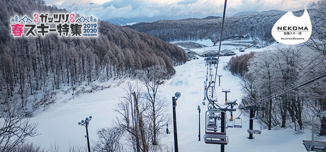 星野リゾート 猫魔スキー場 ガッツリ春スキー特集 Surf Snow