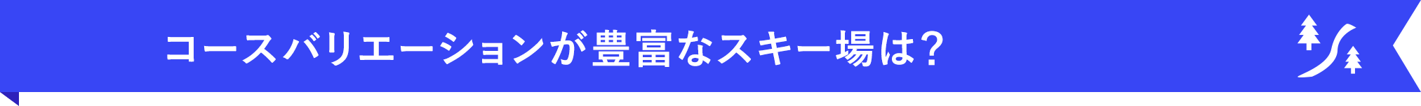 コースバリエーションが豊富なスキー場は？