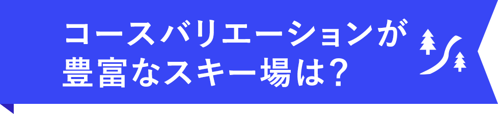コースバリエーションが豊富なスキー場は？