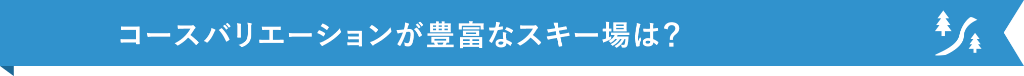 コースバリエーションが豊富なスキー場は？