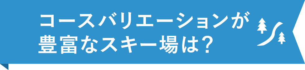 コースバリエーションが豊富なスキー場は？