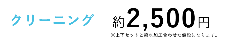 クリーニング 約2,500円