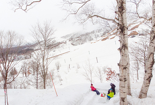 広い雪山で安全に遊べる