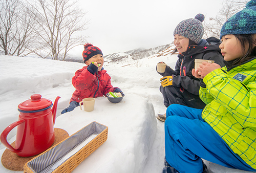 雪国でしか味わえない白銀世界