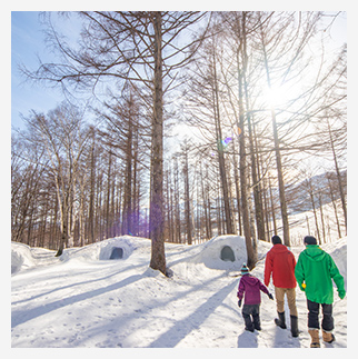 雪遊びパーク(DAY)