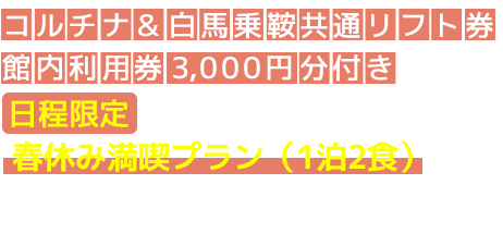 白馬岩岳観光用チケット付き 日程限定 Snowtripプラン(1泊2食) 人気の白馬マウンテンバーバーなど白馬岩岳スノーフィールドの観光用チケット付きのプラン。