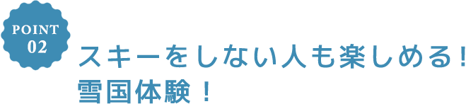 POINT 02 スキーをしない人も楽しめる!雪国体験!