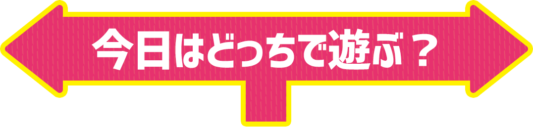 今日はどっちで遊ぶ?