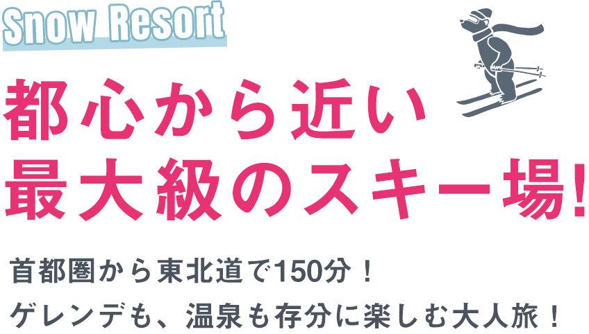 都心から近い最大級のスキー場! 首都圏から東北道で150分!
ゲレンデも、温泉も存分に楽しむ大人旅!