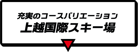 充実のコースバリエーション スノーリゾート 上越国際スキー場