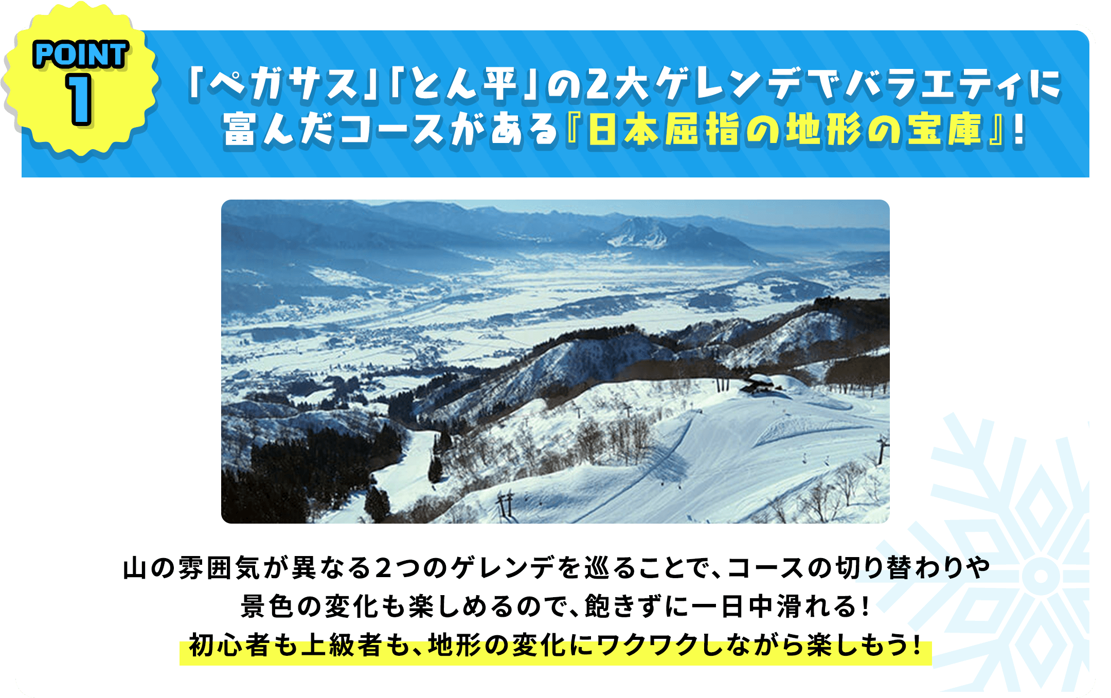 「ペガサス」「とん平」の2大ゲレンデでバラエティに富んだコースがある『日本屈指の地形の宝庫』！山の雰囲気が異なる2つのゲレンデを巡ることで、コースの切り替わりや景色の変化も楽しめるので、飽きずに一日中滑れる！初心者も上級者も、地形の変化にワクワクしながら楽しもう！