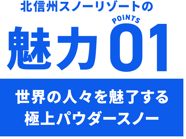 北信州スノーリゾートの魅力 POINTS01 世界の人々を魅了する極上パウダースノー