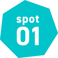 spot01