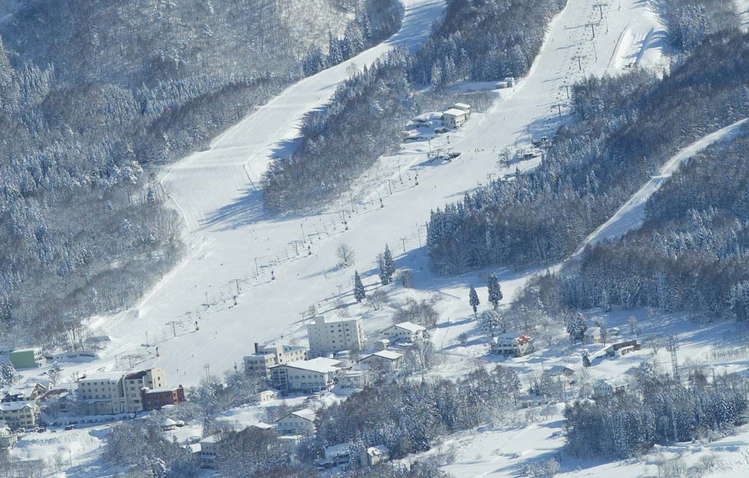 パウダースノーに恵まれた北志賀小丸山スキー場