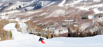 水上宝台樹スキー場