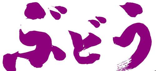 村上市ぶどうスキー場