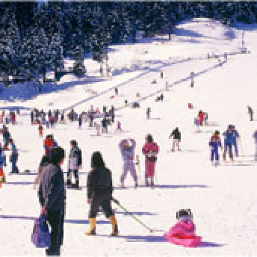 糸魚川シーサイドバレースキー場