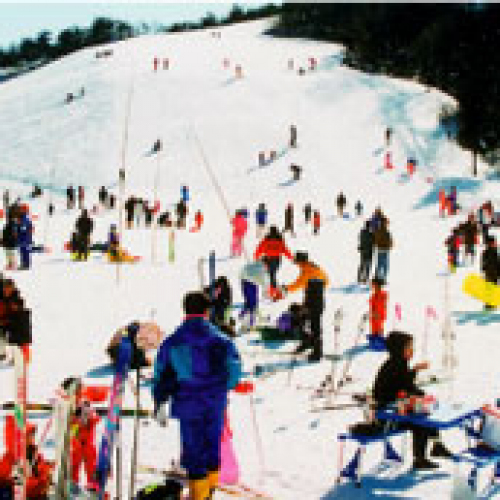 金谷山スキー場