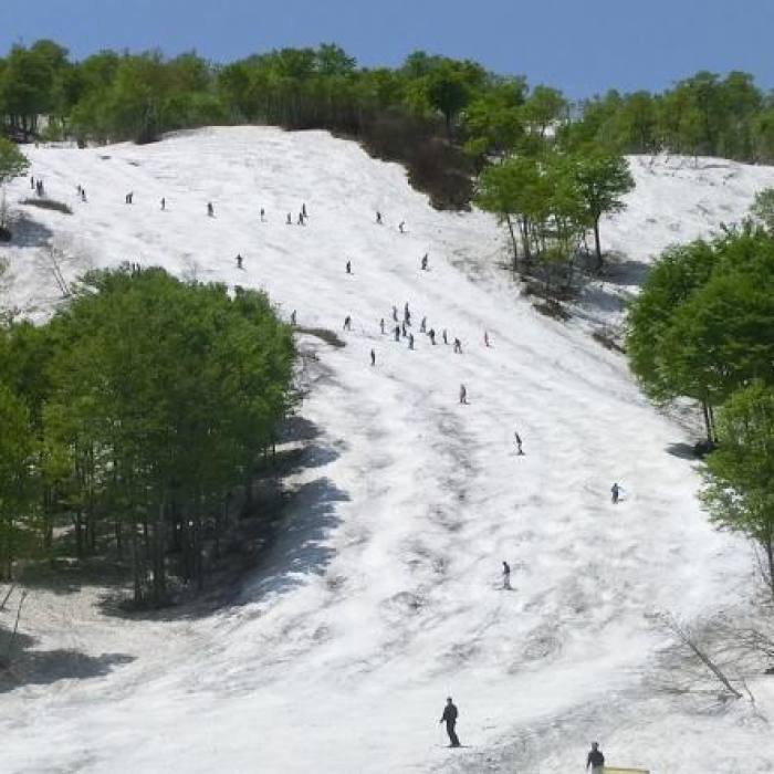 奥只見丸山スキー場