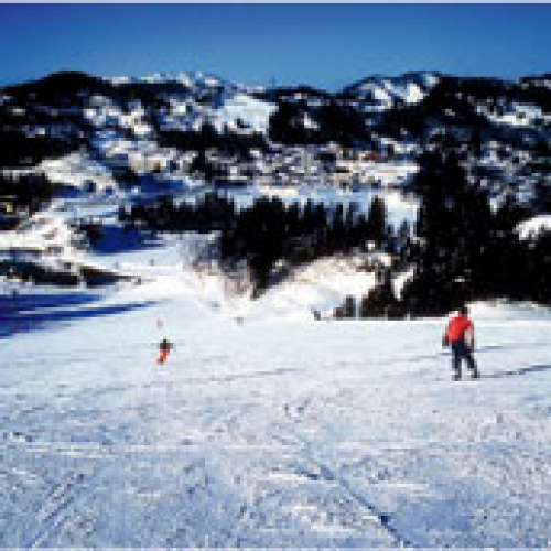 まつだいファミリースキー場