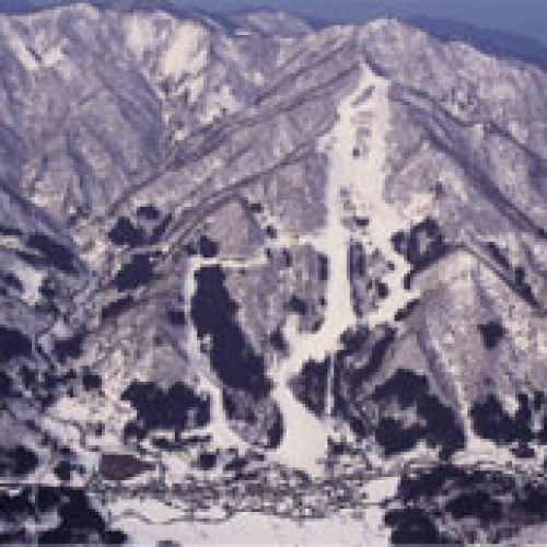 村上市ぶどうスキー場