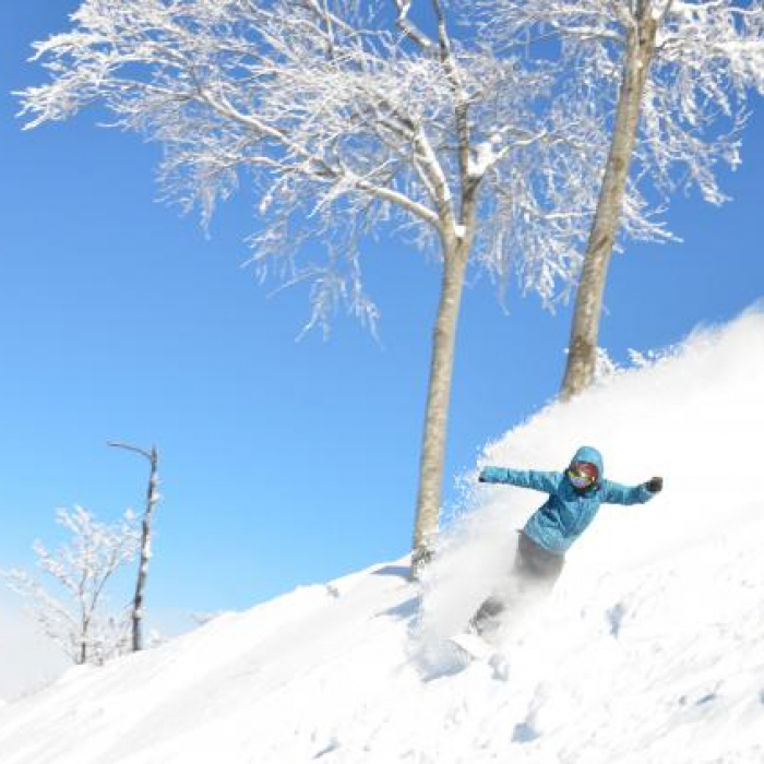 キューピットバレイ