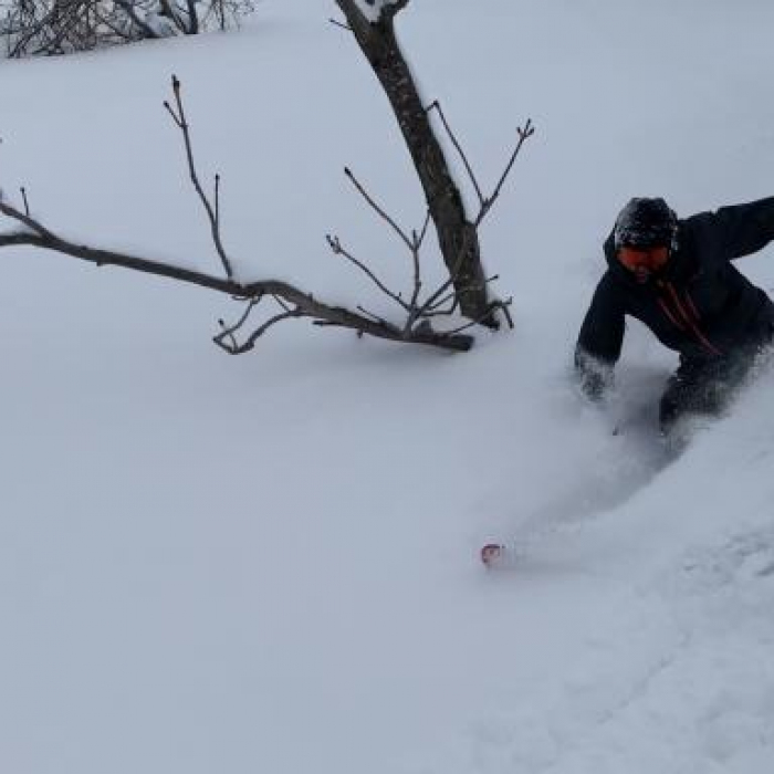 シャルマン火打スキー場