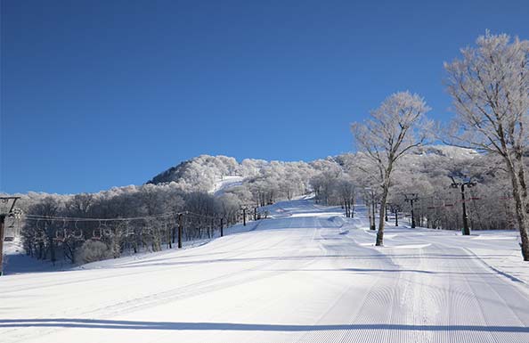 オリオンツアーたんばら