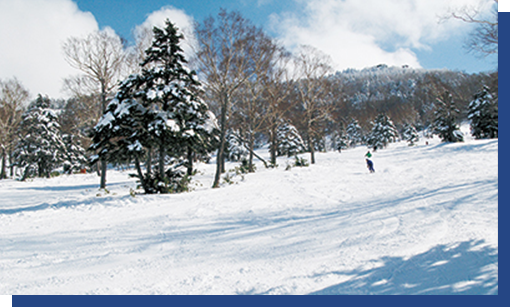タンネの森 オコジョスキー場