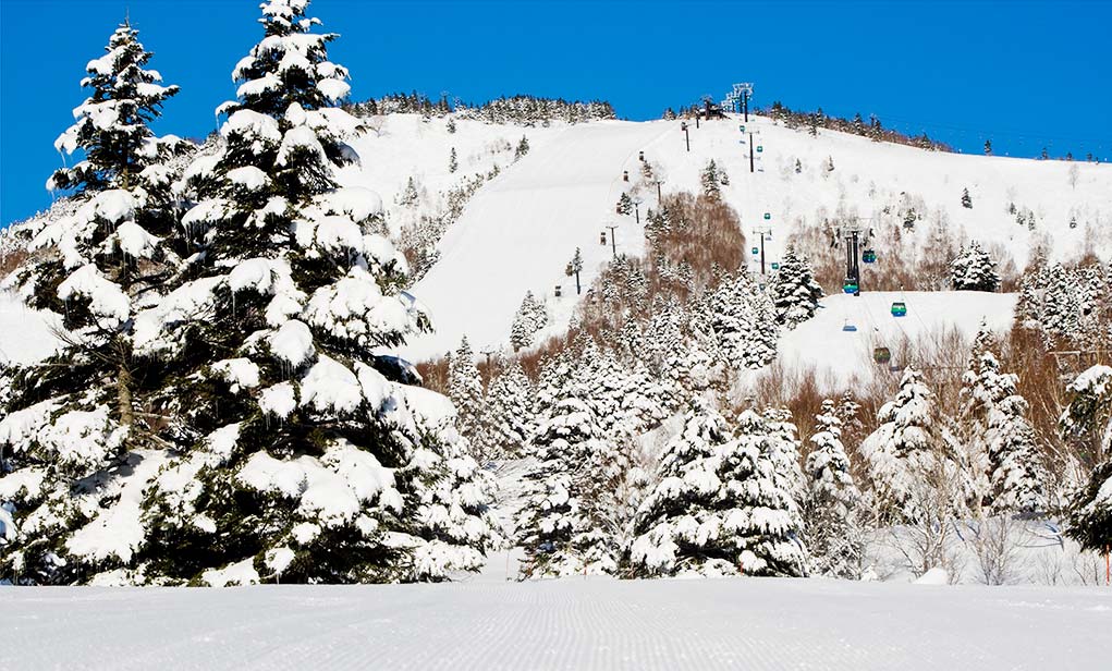 焼額山スキー場