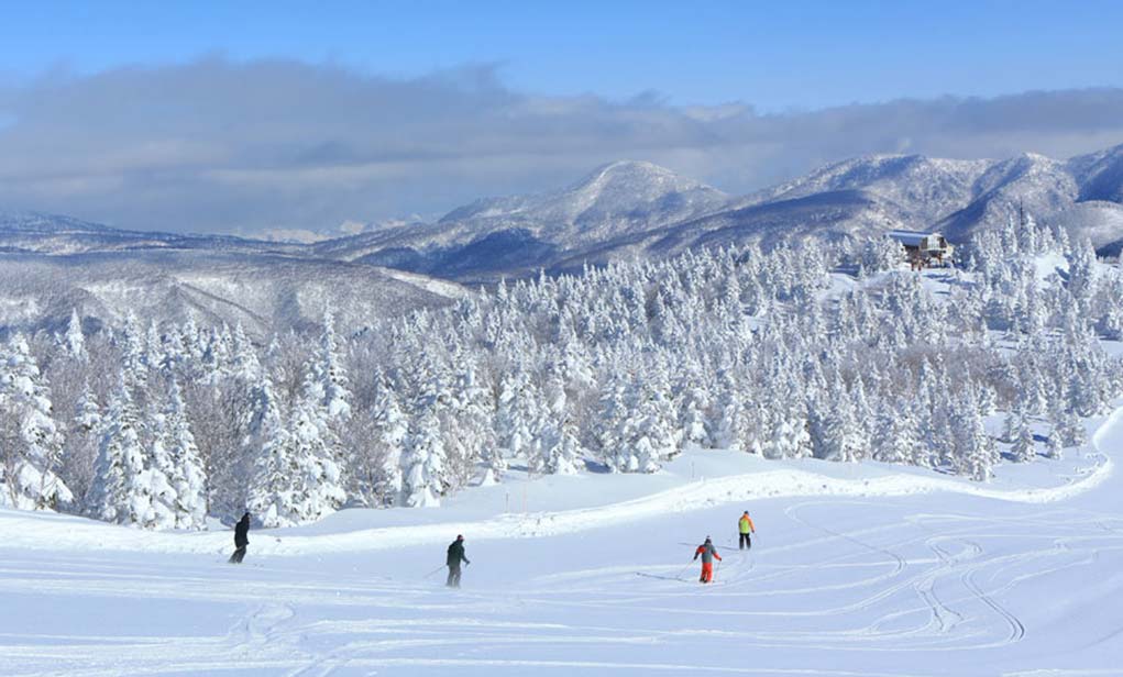 焼額山スキー場