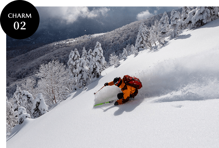 奥志賀高原スキー場を滑るスキーヤー 巻き上がるパウダースノー