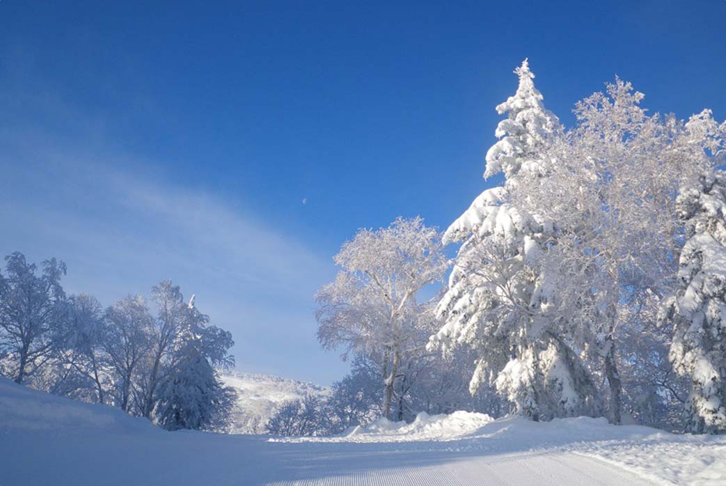 札幌国際スキー場