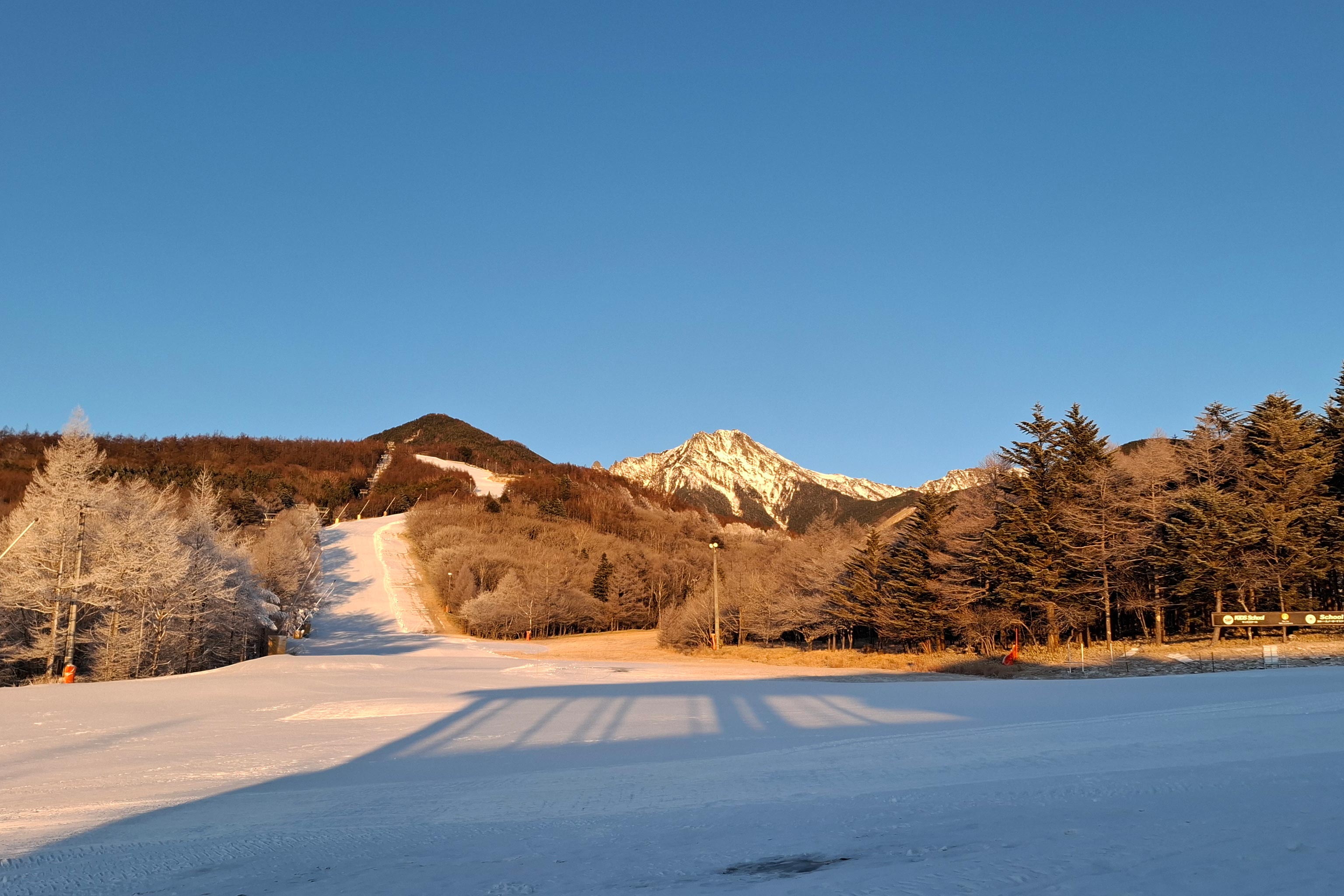 2025-2026営業情報