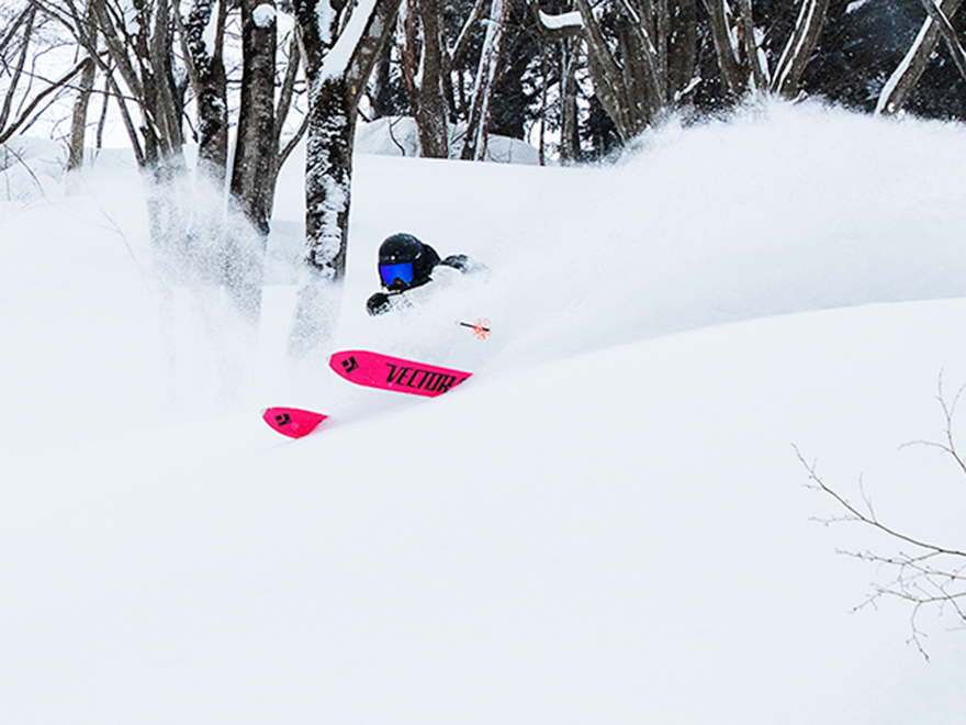 新潟県 スキー場積雪天気情報 Surf Snow