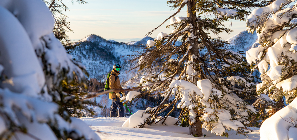 ゲレンデ・コース案内|苗場スキー場