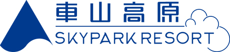 車山高原SKYPARKスキー場
