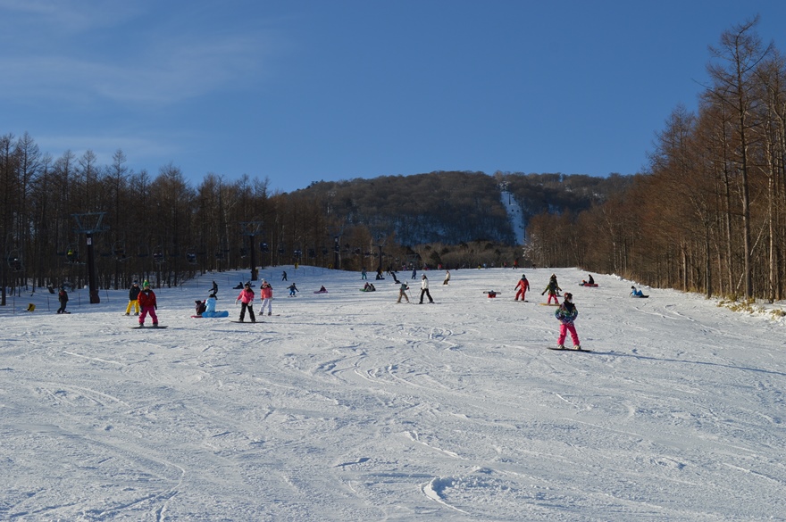 マウントジーンズ那須 コース スキー場情報サイト Surf Snow
