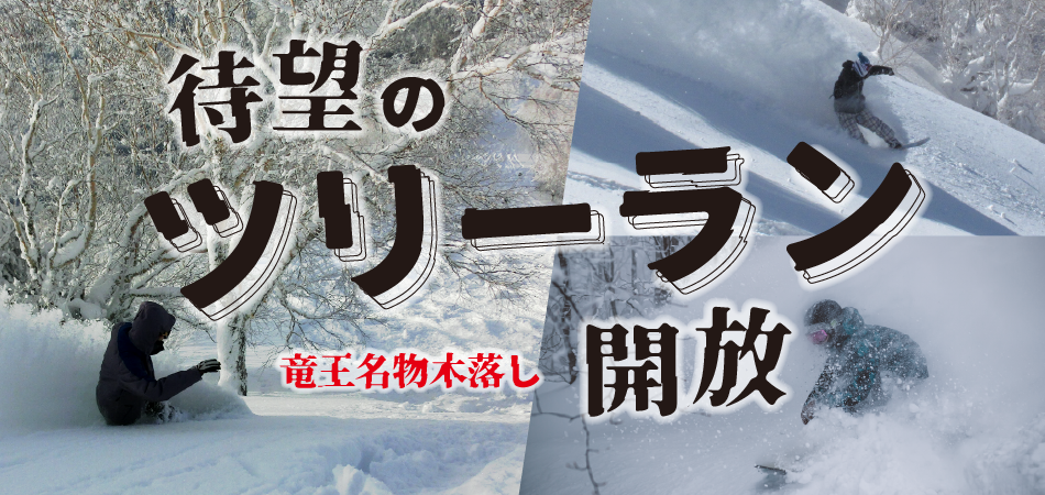 新たに竜王名物「木落し」に併設された3つのツリーランエリアを開放！|竜王スキーパーク
