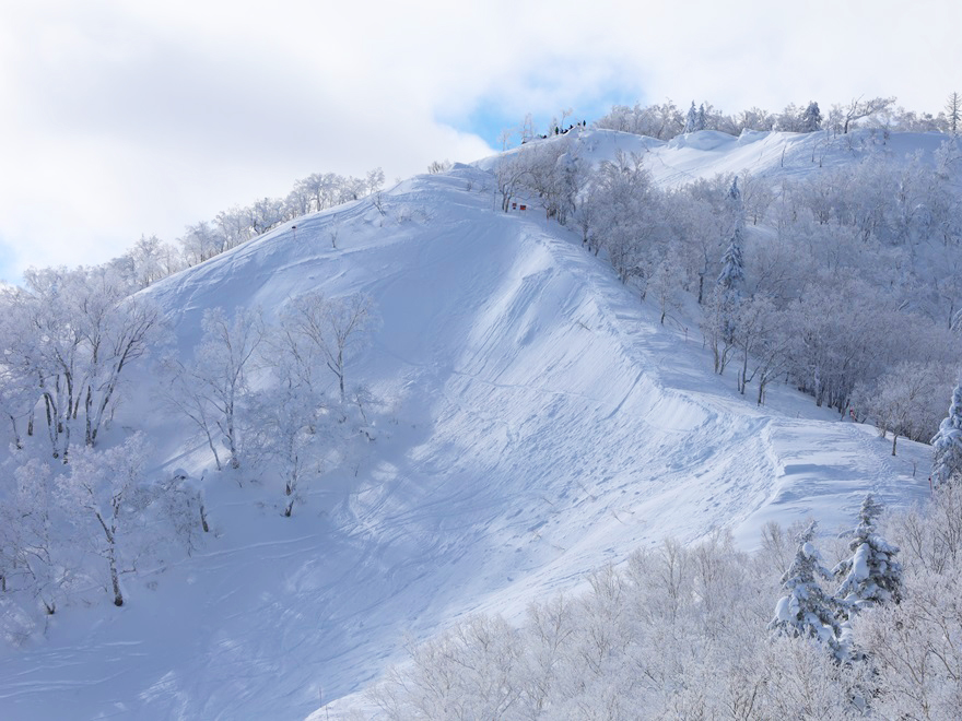 富良野スキー場