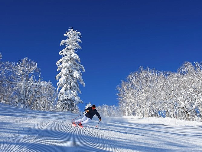 富良野スキー場の富良野スキー場　ファーストトラック（富良野ZONE）