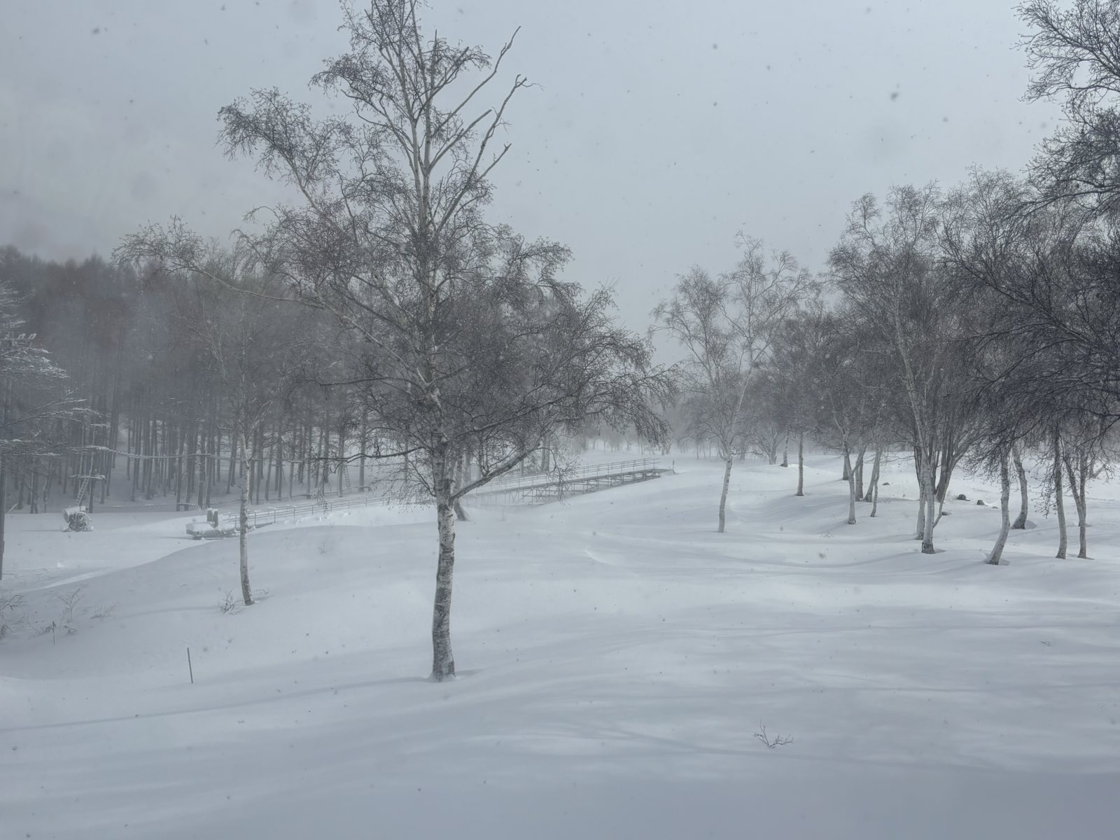 12/19(金) 水上高原スキーリゾート OPEN決定！