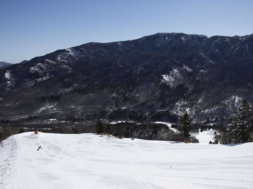 志賀高原 焼額山スキー場の年末年始 宿泊予約状況