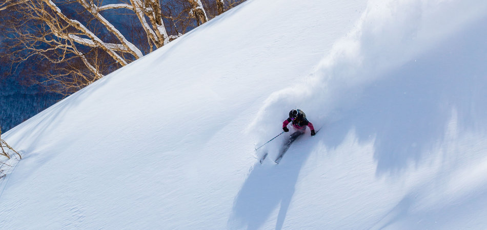 Superファーストトラック　SUGI SNOW FLOW|妙高杉ノ原スキー場